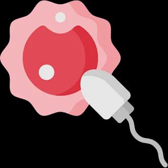 Mylo Ovulation Calculator: Find Your Most Fertile Days