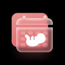 Due Date Calculator icon