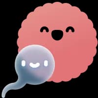 healthy conception