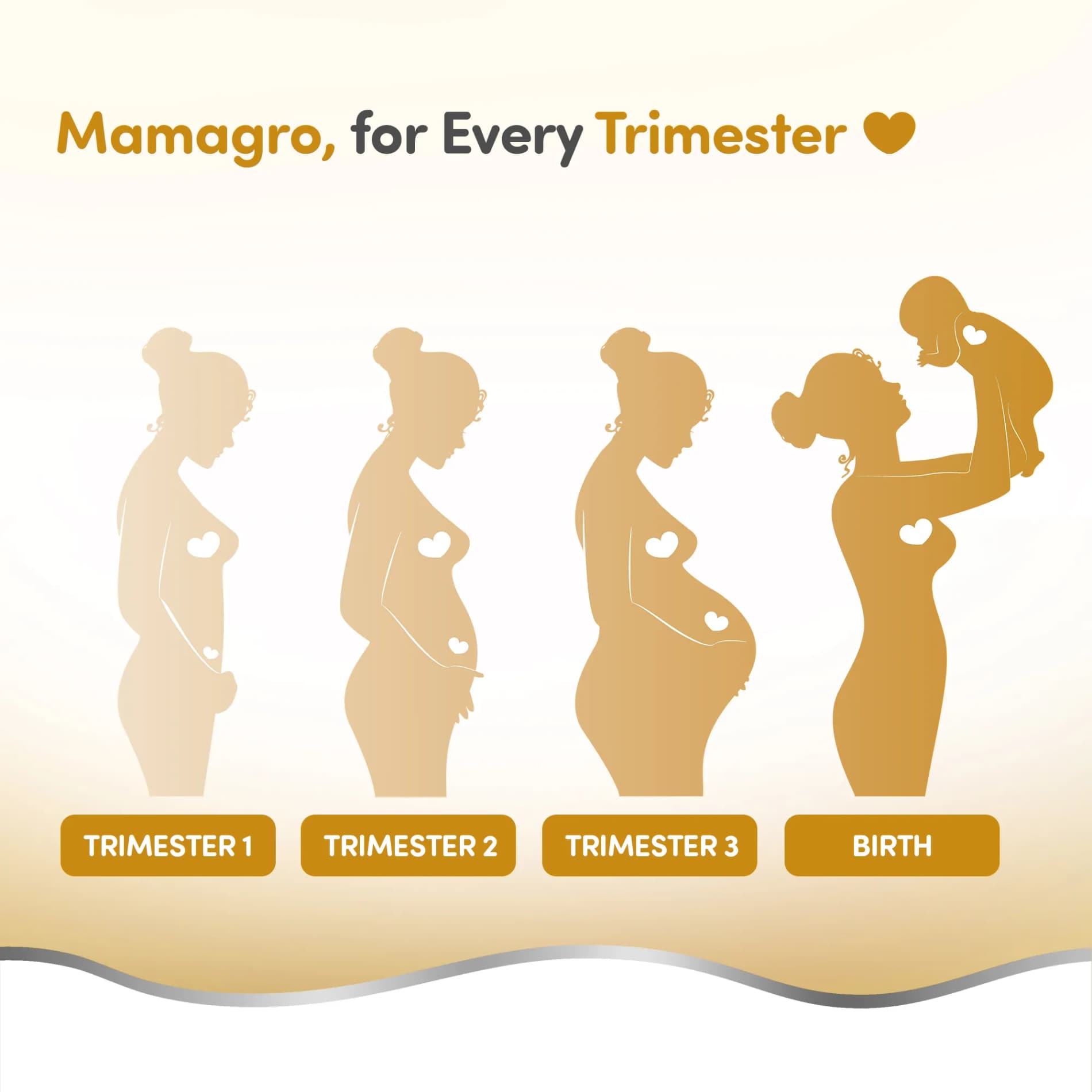 MamaGro™ Protein Diskettes - High Protein & No Added Sugar - 250gm (50 Jeera Diskettes)