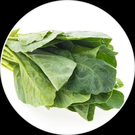 Palak