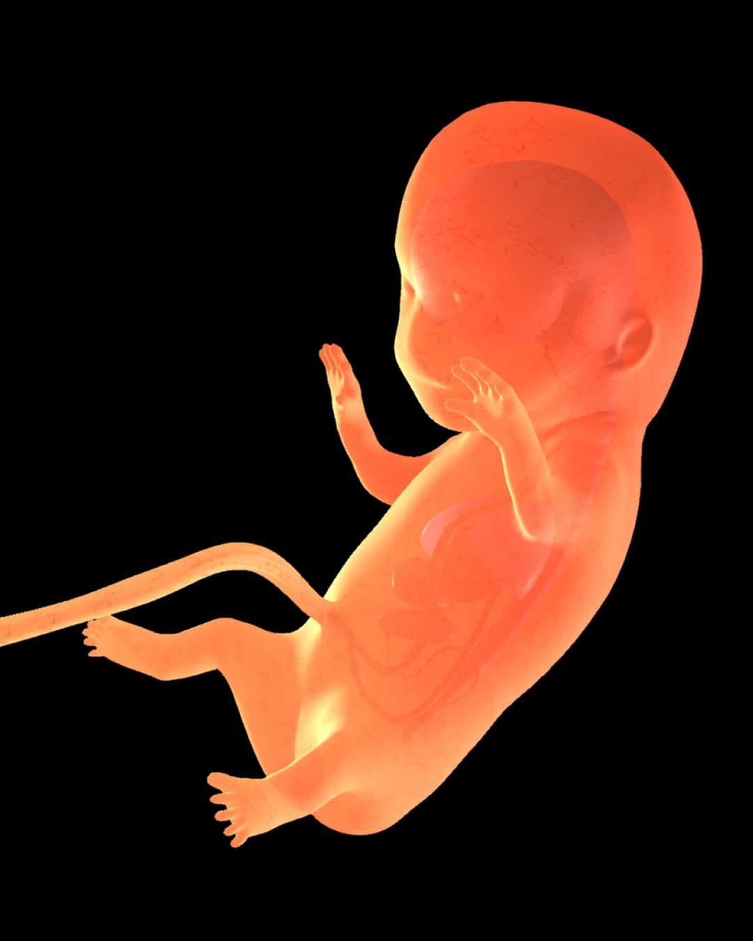 Baby at 28 weeks