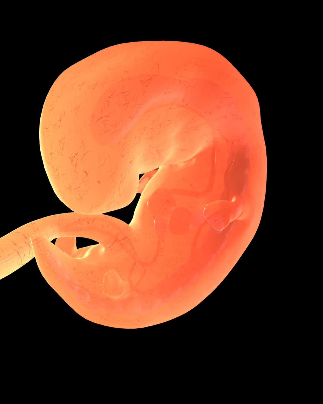 Baby at 7 weeks