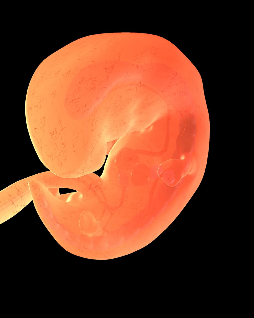 Baby at 8 weeks