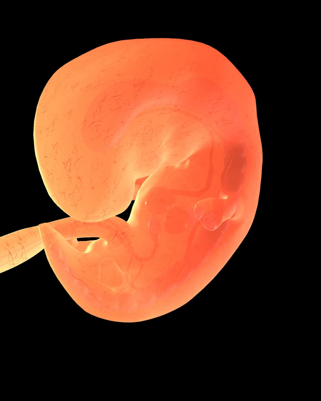 Baby at 9 weeks