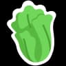 lettuce