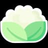 large cauliflower