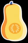 butternut squash