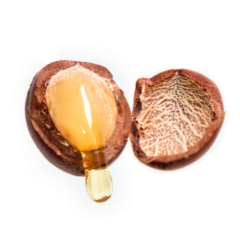 Argan Oil enhances the skin elasticity