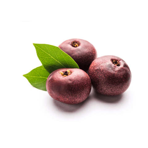 Kokum for collagen production