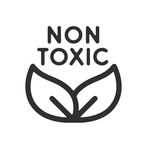 Non-toxic paint finish    