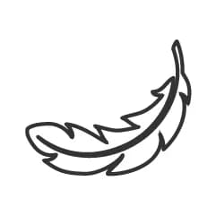 Lightweight & travel friendly