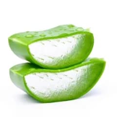 Aloevera