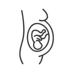 2nd trimester onwards    