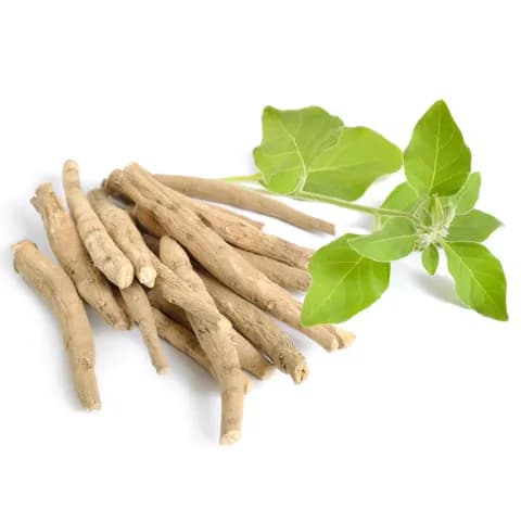 Ashwagandha: Helps reduce stress & increase testosterone levels