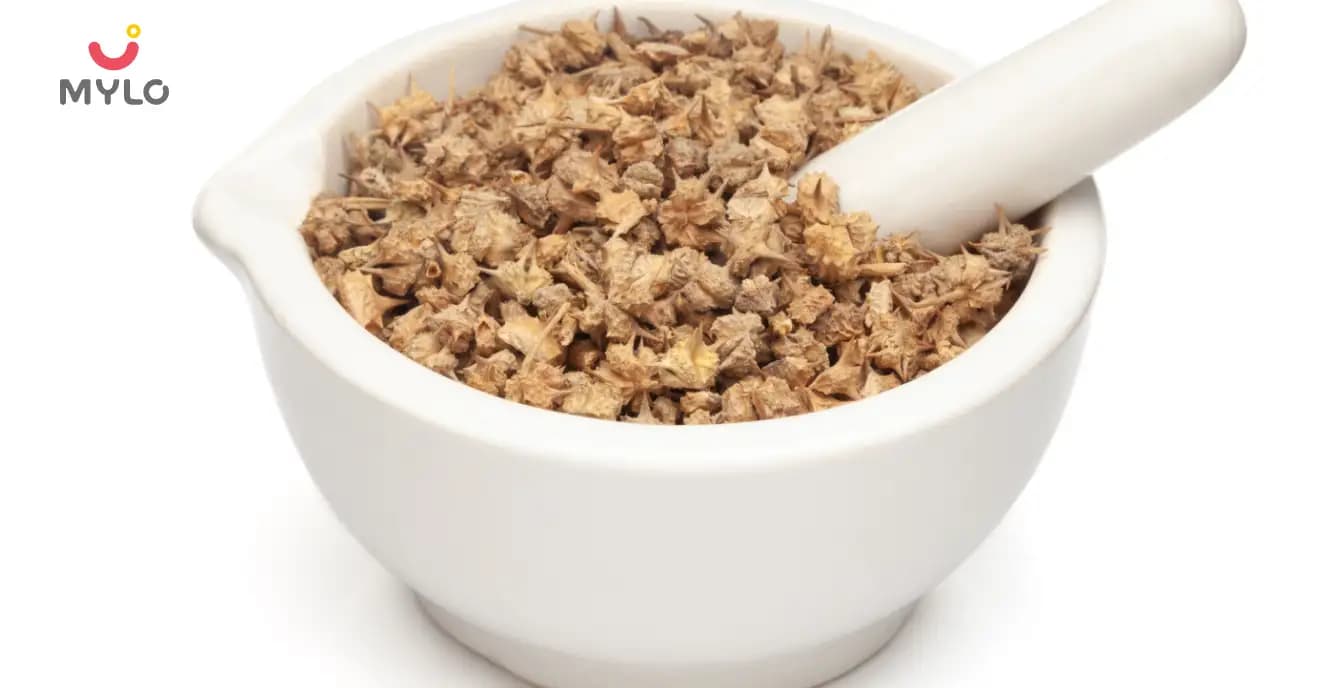 Gokshura: The Ancient Ayurvedic Remedy for Optimal Sexual Health and Wellness