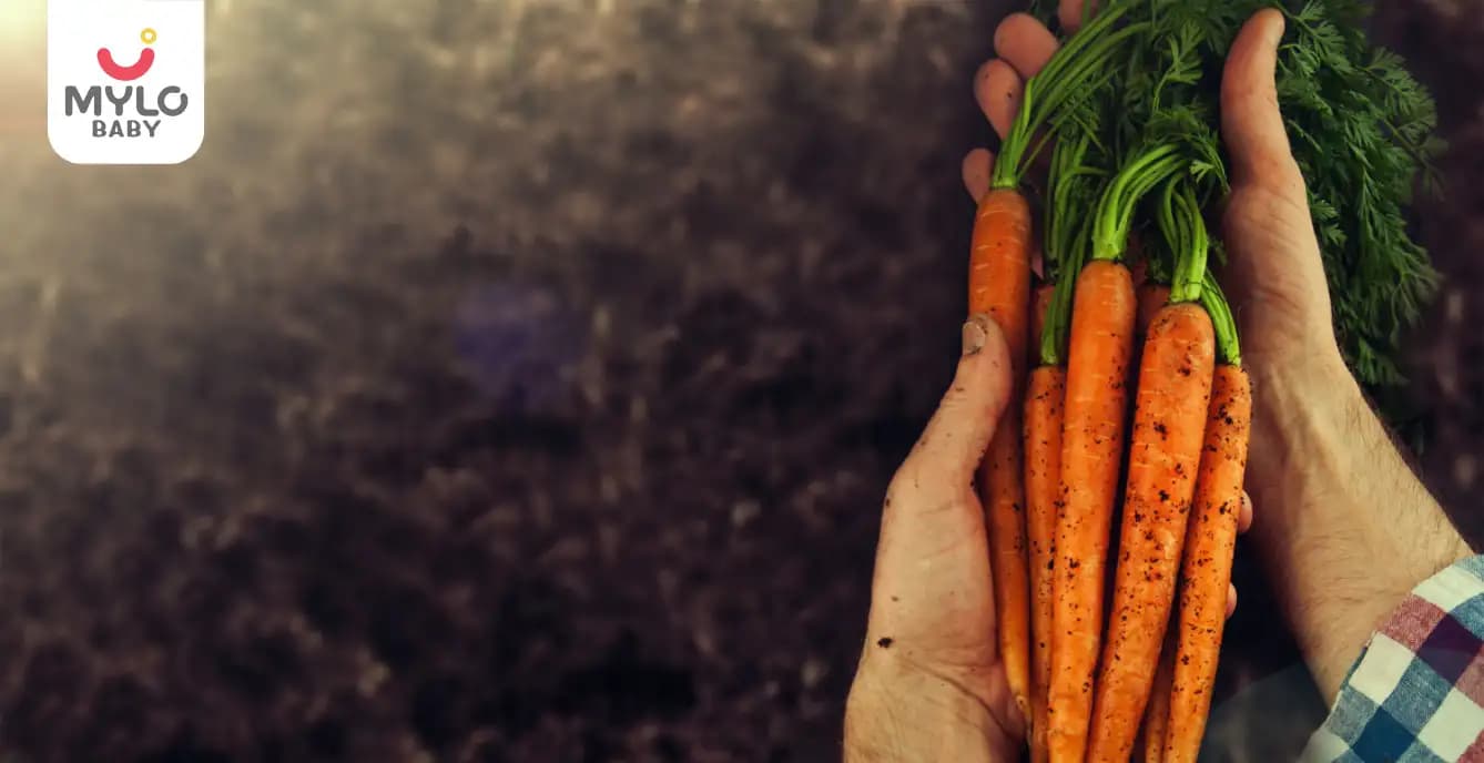 The A-Z Guide to Identifying Stem Vegetables for Kids