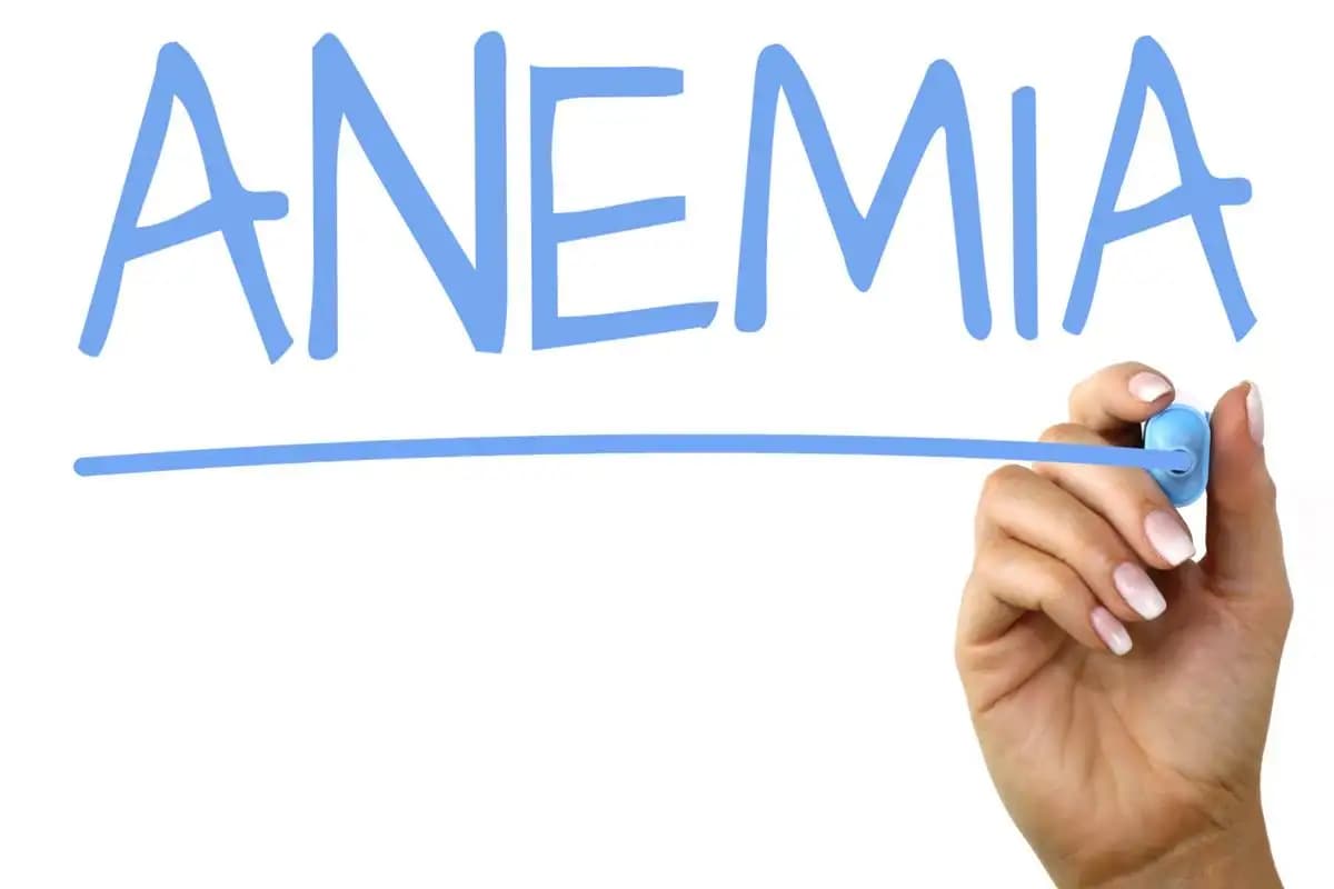 Wanna Become an Iron Woman? Learn Ways to Prevent and Treat Anemia During Pregnancy