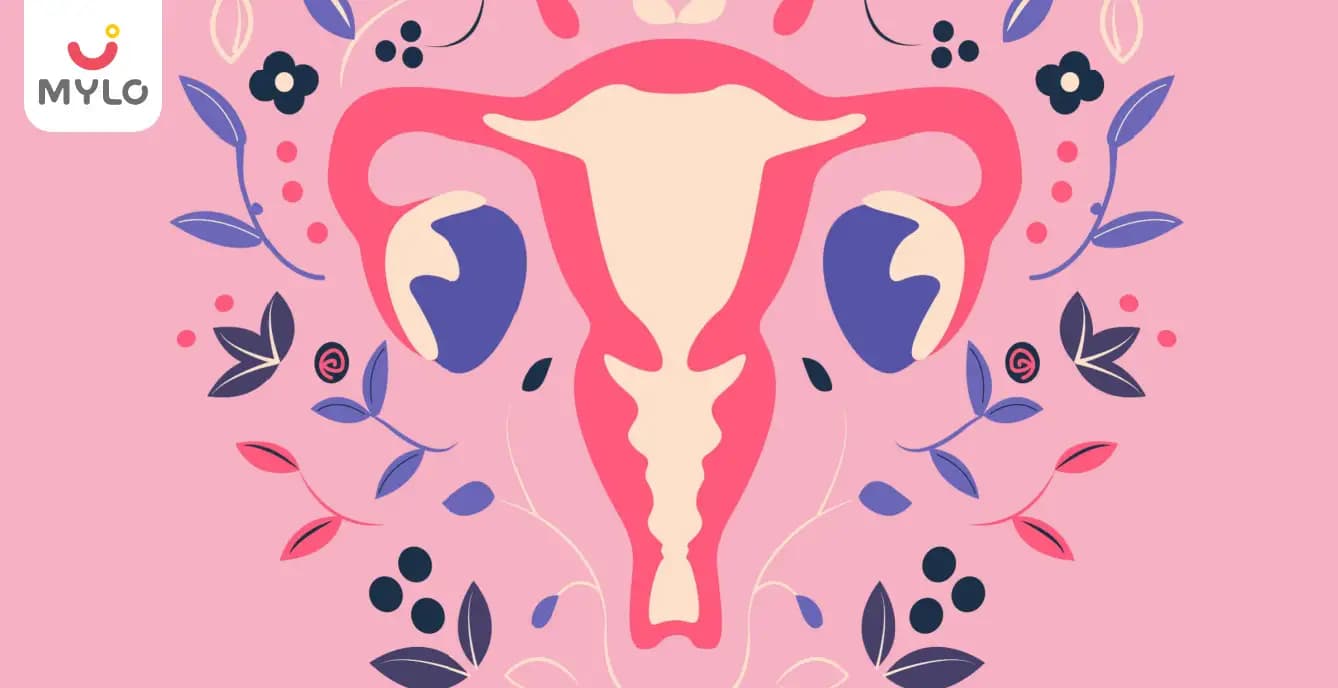 Fat Vagina (Mons Pubis): Average Size, Types, Causes, FUPA Explained and When to See a Doctor (2026)