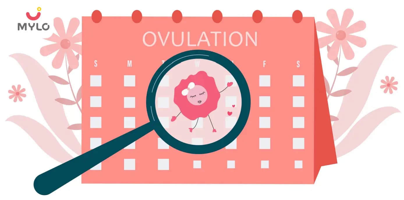  Ovulation Period in Hindi | ओव्यूलेशन पीरियड को कैसे पहचानें? 