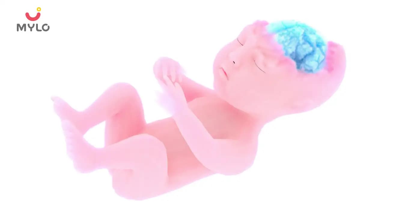 Anencephaly: Causes, Symptoms, Risk & Treatment