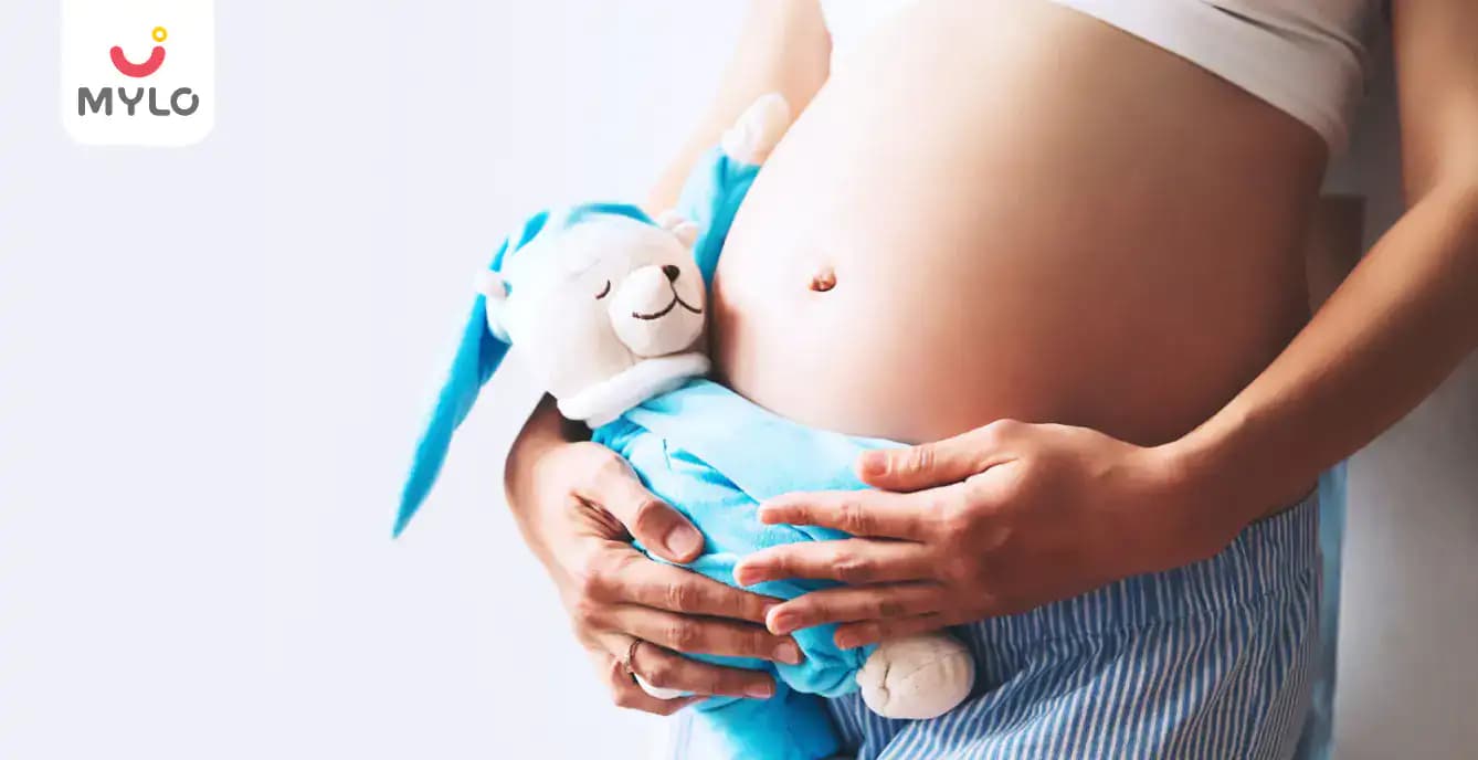  Contractions: What They Mean & Their Types