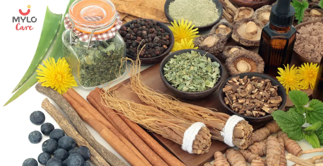Top 5 Herbs For Female Fertility in Hindi | महिलाओं की फर्टिलिटी में सुधार करते हैं ये टॉप 5 हर्ब्स!