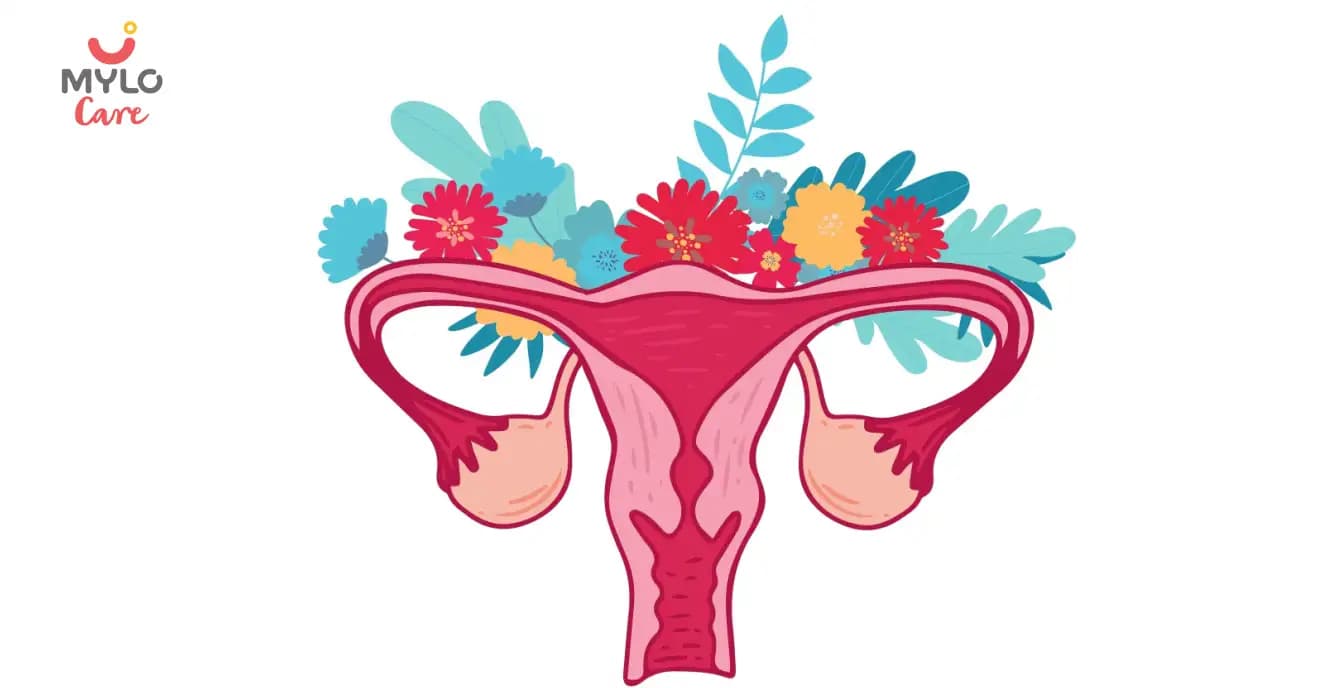 PCOS స్వీయ సంరక్షణ: మీ శరీరం మరియు మనస్సును ఎలా పెంచుకోవాలి | PCOS Self Care: How to Nurture Your Body and Mind in Telugu