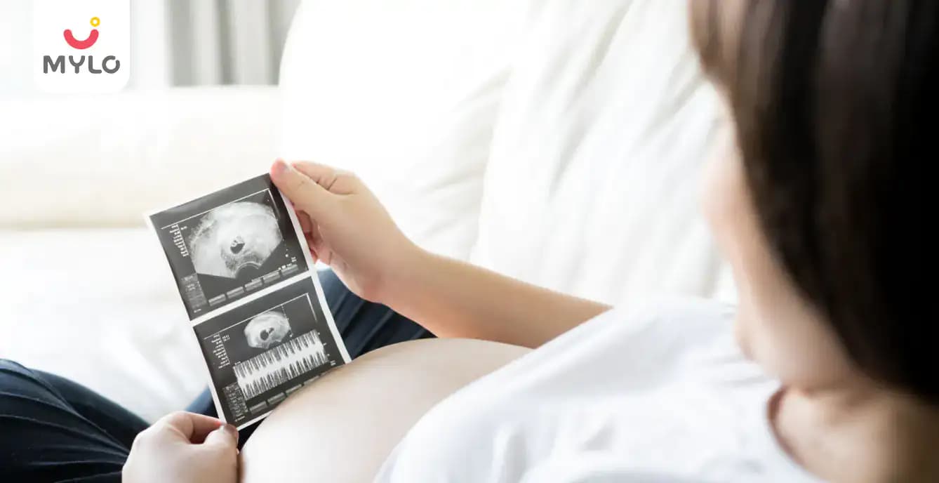 Second Trimester of Pregnancy 