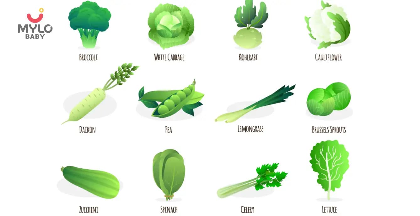 The A-Z Guide to Identifying Green Vegetables Names for Kids