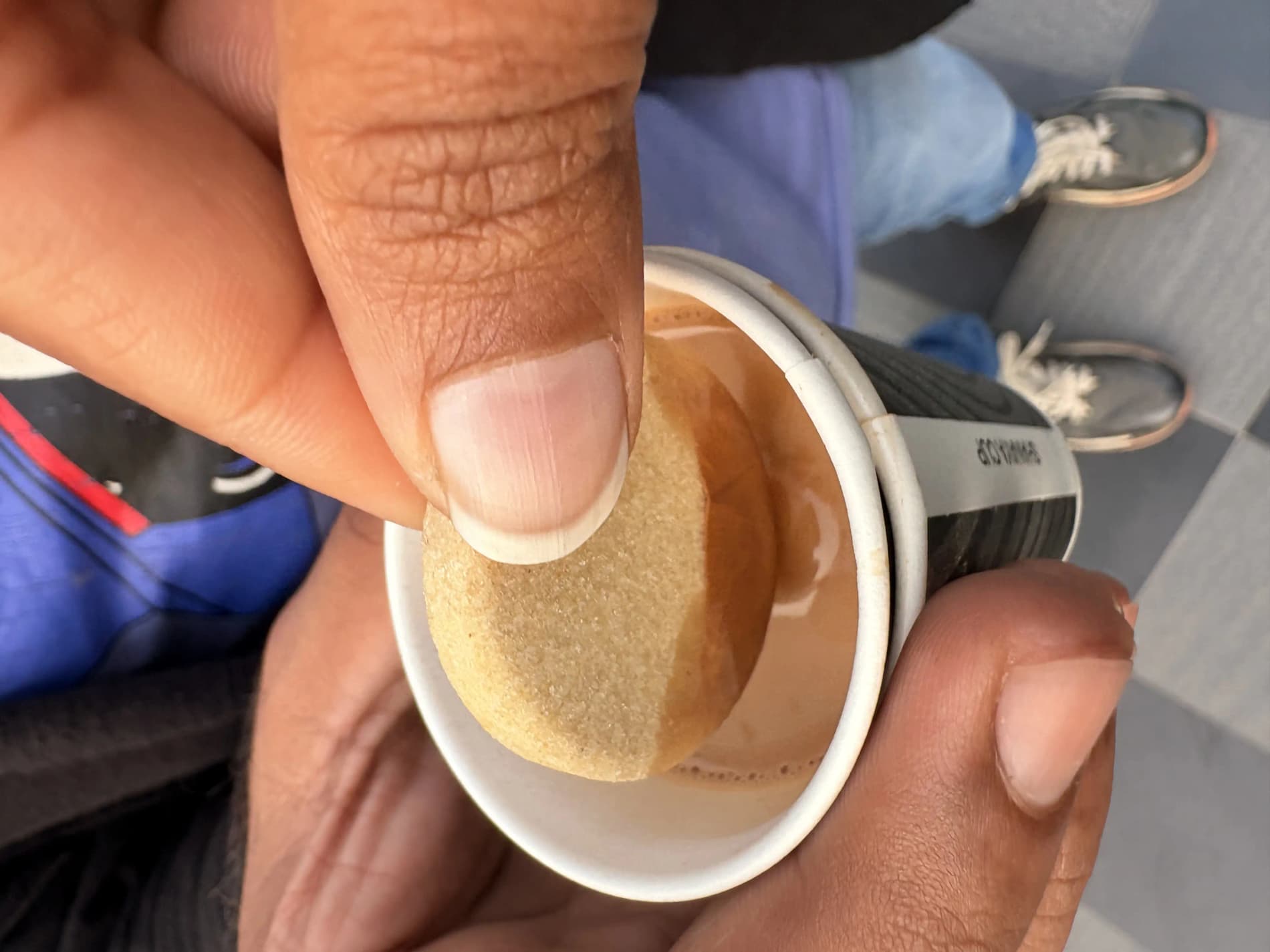 Mylo Care - Pregnancy Protein Diskettes - 250gm (50 Diskettes)