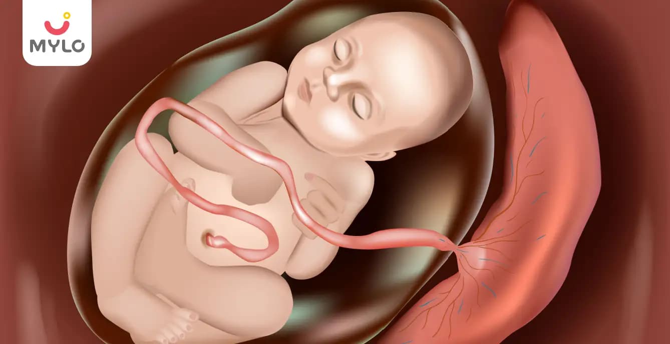 Anterior Placenta Meaning in Hindi: एंटीरियर प्लेसेंटा क्या है? पूरी जानकारी (2026)