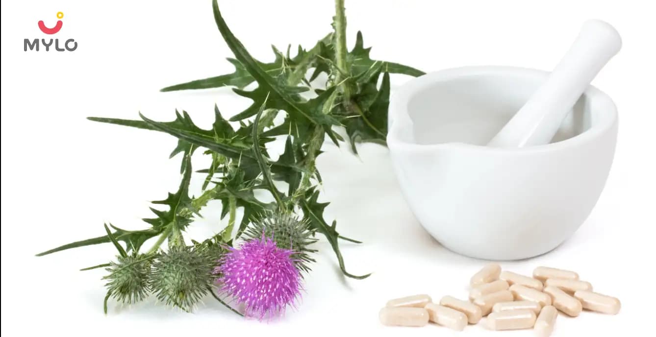 Milk Thistle in Ayurveda: Unlock The Healing Potential and Health Benefits of This Herb