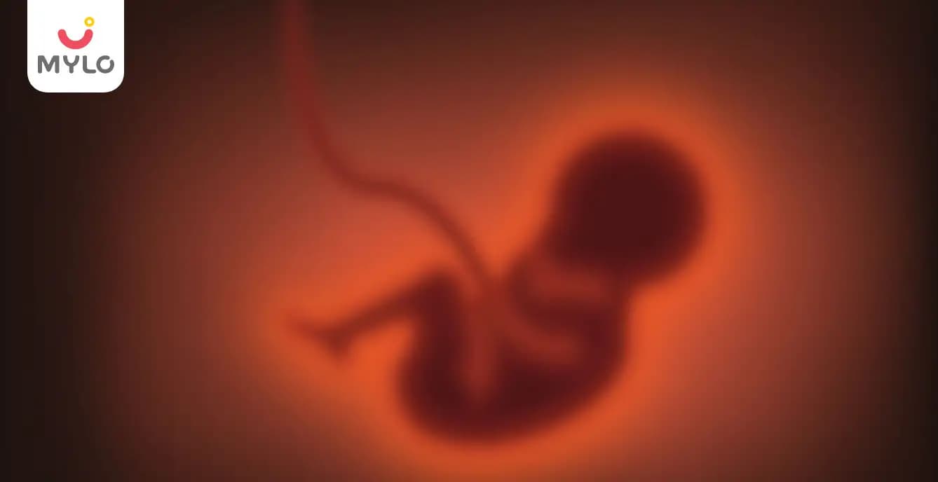 Blighted Ovum: Causes, Symptoms & Treatment