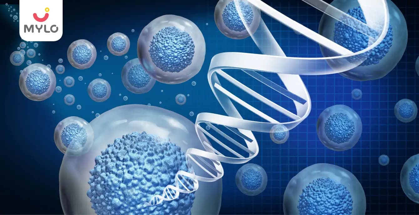 ஸ்டெம் செல்களின் ஆதாரங்கள் மற்றும் வகைகள் (Sources And Types Of Stem Cells in Tamil)