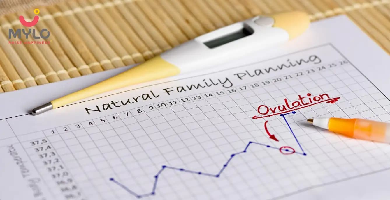 Basal Body Temperature (BBT): How to Track Ovulation and Detect Early Pregnancy (2026 Complete Guide)