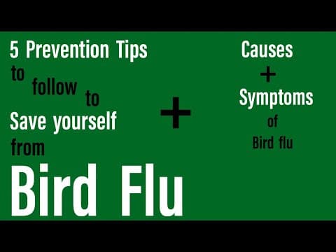 5 PREVENTION TIPS to follow to SAVE YOURSELF from BIRD FLU 
+
CAUSES
+
SYMPTOMS of bird flu
https://youtu.be/DfZ2DQi-JfY