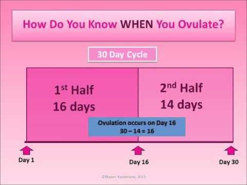 How to Figure Out When and If You Are Ovulating
