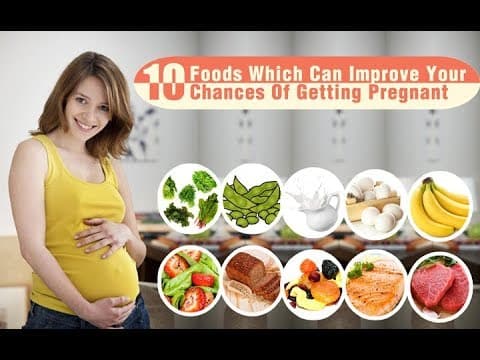 Top 10 Foods that increase ovulation rate in women