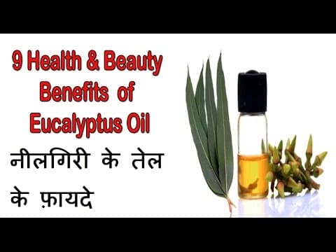 Benefits of Eucalyptus oil 