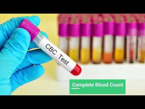 Blood Tests & Ultrasound during Pregnancy
