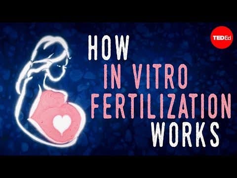 How in vitro fertilization (IVF) works 