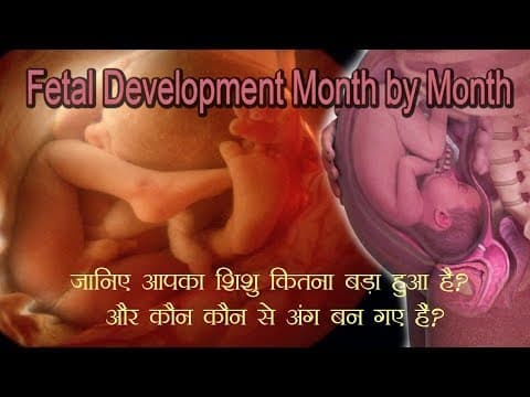 Month by month "Baby Development"