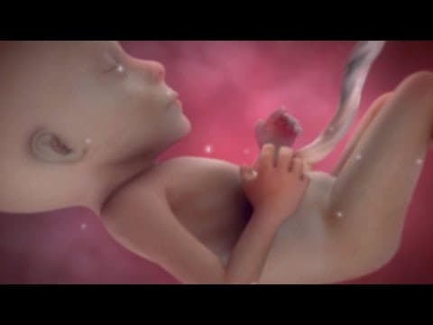 Inside pregnancy!! 