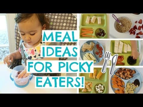TODDLER MEALS FOR PICKY EATERS | TODDLER MEAL IDEAS | Hayley Paige
