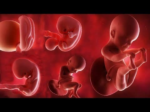Amazing video ☺☺