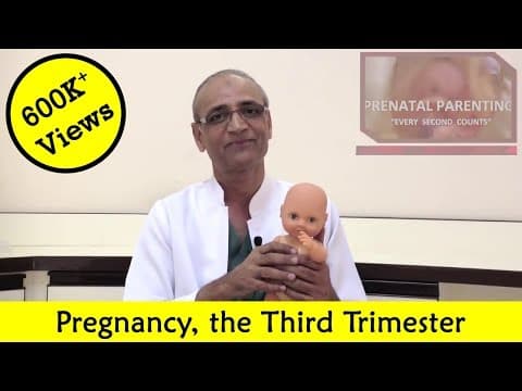 Third Trimester Pregnancy