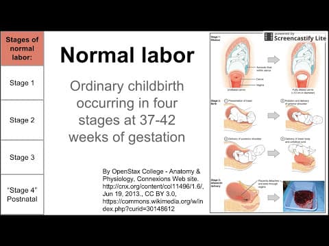 detail clarification for normal delivery