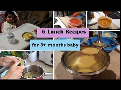 6 Lunch Recipes For 8+ Months Baby (Stage 3 - Homemade Baby Food Recipes)8+ Months Babyfoodrecipes