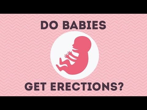 Weird Pregnancy Facts..
A must watch ☺☺